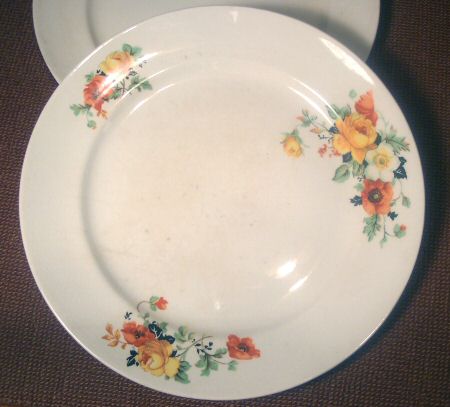 Homer Laughlin Floral Plate C 37 N 6