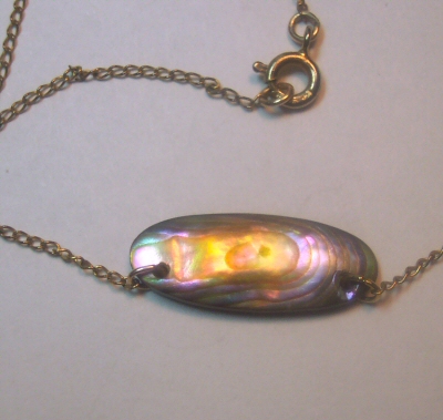 Abalone Shell Necklace with GF Chain