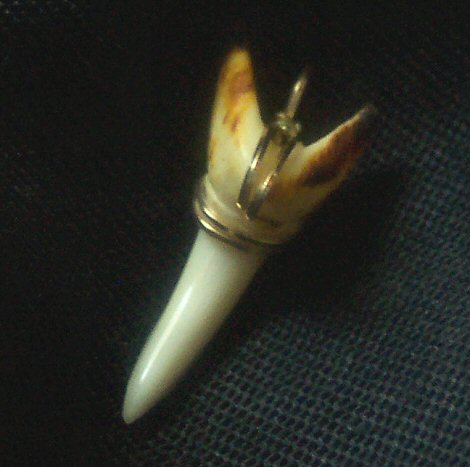 Wrapped Tooth Pendant