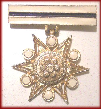 Military-Style Pin