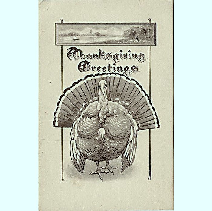 Black and White Schlesinger Thanksgiving Postcard Divided Back U